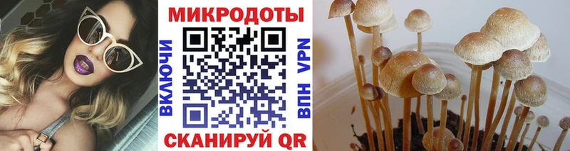 где продают наркотики  ссылка на мегу ссылка  Псилоцибиновые грибы мухоморы  Суровикино 